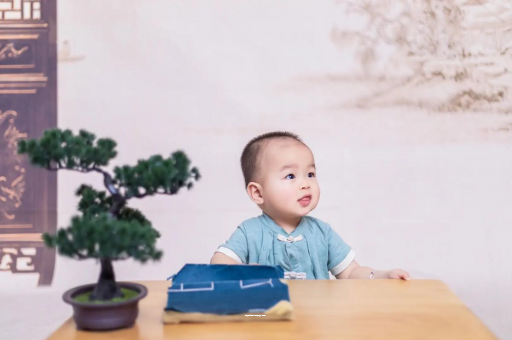 锡林郭勒盟二岁宝宝发型